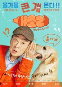 Dog Knows Everything Episode 12